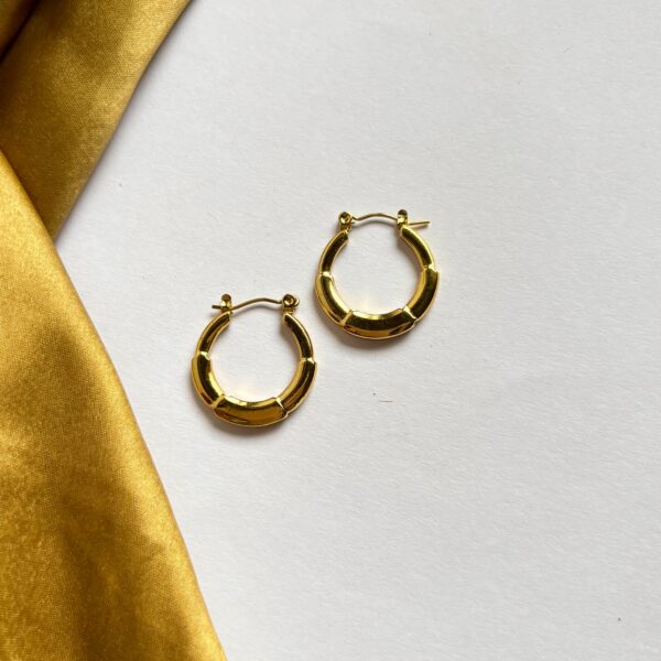 Sunkissed Hoops