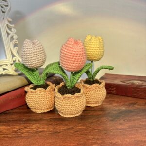 Tulip Crochet Pot 2.1