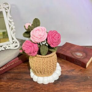 Dual shade big rose pot